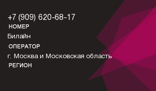 9096206817